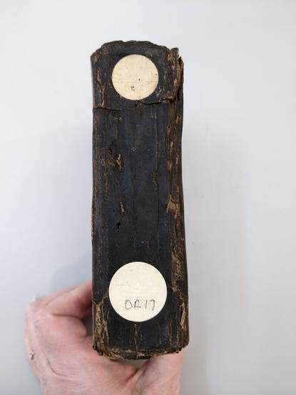 Spine of Islamic binding with darkened brown leather. Cracks in leather run head to tail. Linen stitches visible near outer edges of spine.