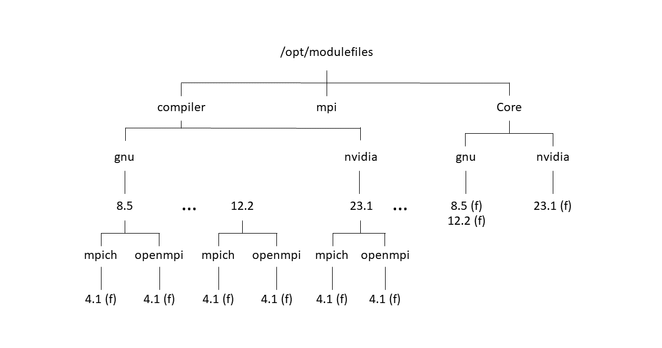 Figure 1: General module file layout.