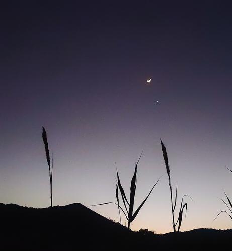 Una imatge de vespre quasi nit. Es veuen dos puntets de llum, un en forma d'U que és la lluna i un rodonet més petit a sota. El color degrada del morat molt intens a dalt al malva rosat més brillant a l'horitzó. En contrast, la silueta d'un turó i tres canyes de les de marge de riera.