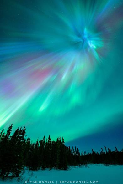 A photo of the northern lights over a boreal forest. The lights are blue, green, red and purple.