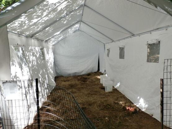 The goats evening enclosure.