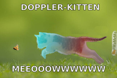 kitten chasing after a butterfly in full jump, head of kitten in bright blue color shifting to red at the tail.

text: doppler-kitten

meeooowwwwww