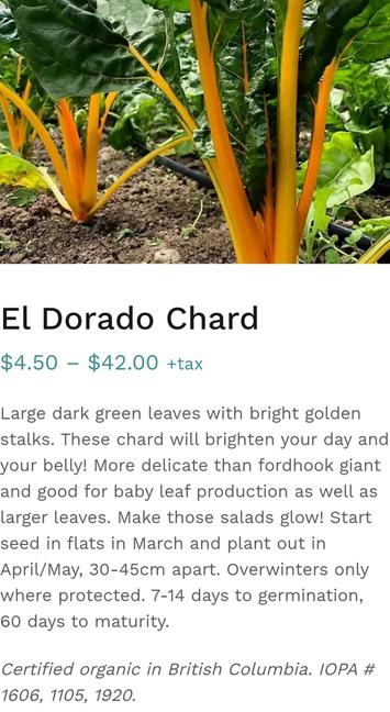 El Dorado chard.  Saanich Organics seed ad/description on website.