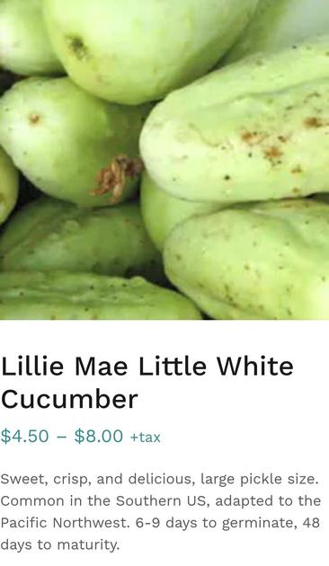 Lillie Mae White Little Cucumber. Saanich Organics seed ad/description on website.