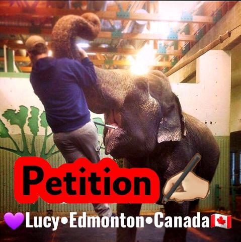 Petition Lucy