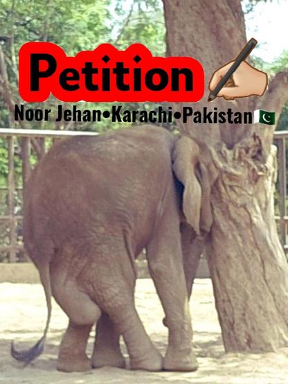 Petition Noor Jehan