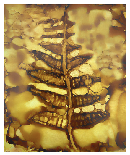 Fossilized Fern Frond Encased In Amber alcohol ink painting. What I imagine a fern frond fossil encased in amber might look like when revealed after millions of years. To my minds eye it's as though the plant is emerging through a golden primordial haze, beautifully preserved.