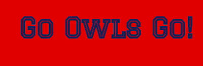 Our Go Owls Go design features the school colors for Florida Atlantic (FAU).