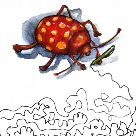 An orange bug drawing with a pen.