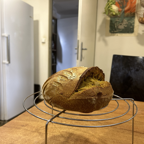 Pic taken from the side, another angle; here the proudly standing ear is in full view. The ear is the bit above the deepest score, that 'explodes' upwards when the bread enters the oven.