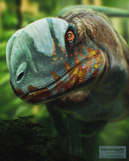 Close up of the head of Sinosaurus showing its head crest