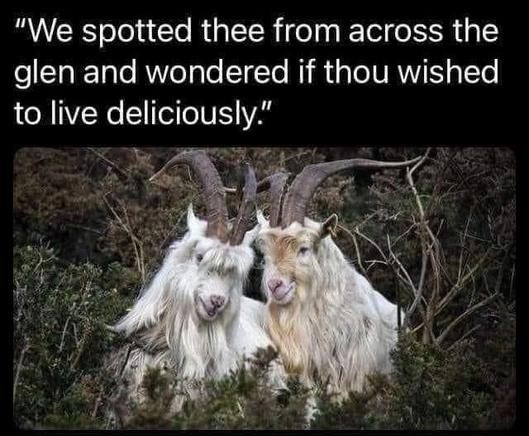 Picture of two goats in a field with the caption "We spotted thee from across the glen and wondered if thou wished to live deliciously."