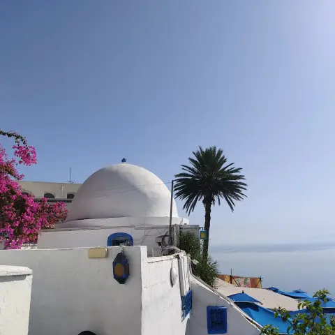 Eine weiße Kuppel, blauer Himmel, im Hintergrund das Meer vor Tunis (Mittelmeer). Starker Kontrast dazu die Blumen neben dem weißen Gebäude