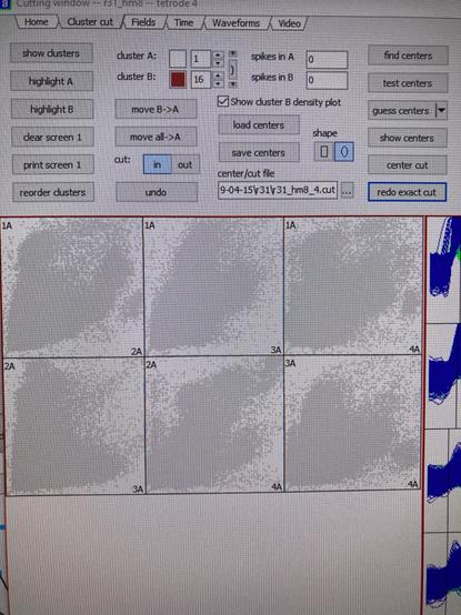 A screenshot of my spike-sorting program (Tint), with grey dots (on amplitude by amplitude plots, each dots represents a spike, dots that are closer to each other are likely to originate from the same neuron), organized in possible clusters, this is the pre-sorting stage.