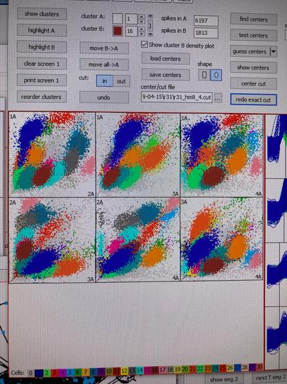 Screenshot of the same software but showing the sorted clusters as coloured clouds. In this case the automated cluster-finding algorithm, followed by me, found 24 pyramidal cell clusters, with likely about 18 place cells.
