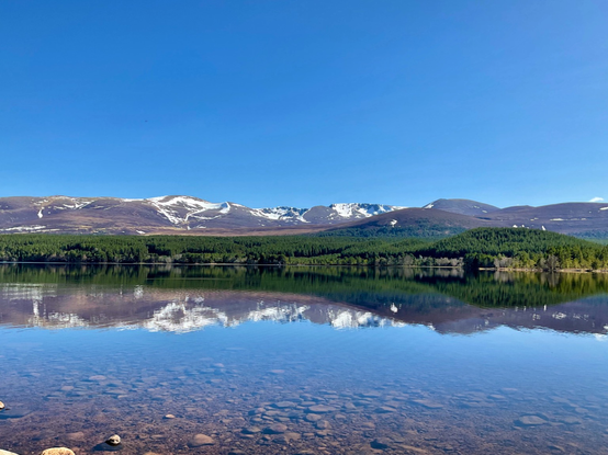 Bright cloudless blue sky mountains below with patches of snow. Forestry. Both reflected in a stall Loch. Stones in the foreground