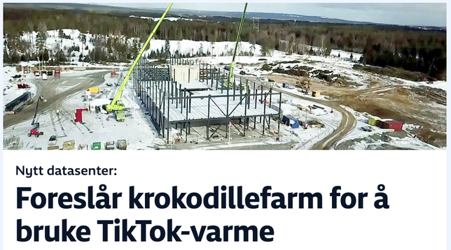Skjermdump fra NRK på nett som viser anleggsområdet med byggekraner og søleveier rundt stålskjelettet til industrihallen som er under bygging. Tittel under: Foreslår krokodillefarm for å bruke TikTok-varme. I ingressen heter det: Krokodillefarm, kongleklekkeri, badeland og innlandsscampi. Det er noen av forslagene til bruk av overskuddsvarmen fra nedkjøling av TikTok-videoer i Hamar.