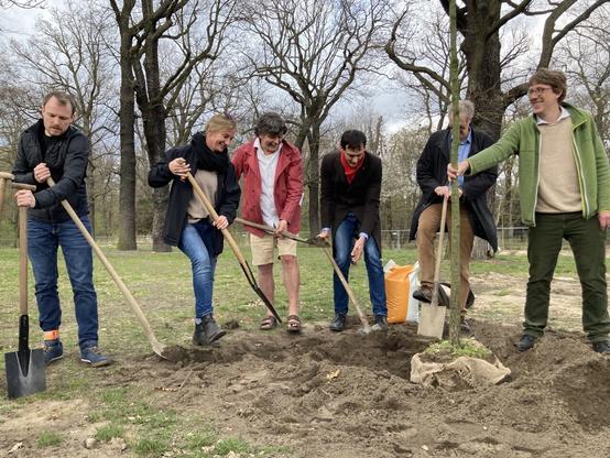 Mehrere Personen mit Spaten schaufeln Erde an einen neu gepflanzten Baum.