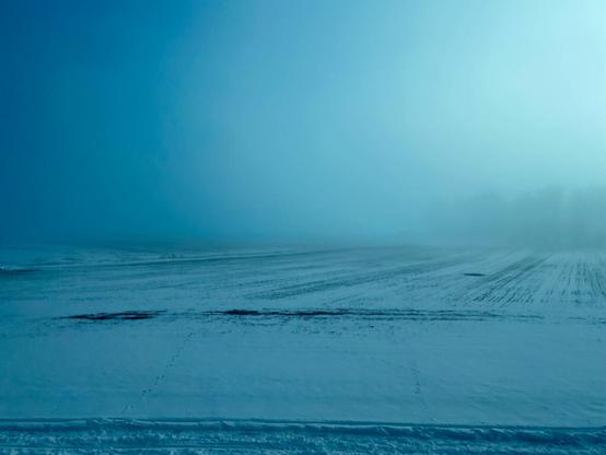 A view from the train of a foggy field. The field looks plouged or at least dug up below a thinnish covering of snow. A stand of trees is just about visible blending into the fog in the middle distance.