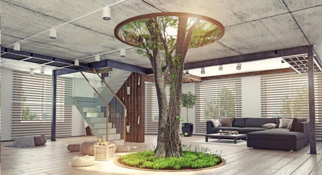 In the middle of a pale colored living room of a house built using various woods, a mature tree grows up through a circular hole in the ceiling. The tree trunk is rooted in a circular base of living greenery while it's multiple trunks reach up to the sky through the roof, branching outward as it reaches the open sky.
