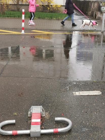 Photo: A parking lot puddle reflecting a building and Grey sky. Raindrop undulations soften the reflection. The top third shows two people walking a dog on a pink leash. The younger person is on skates and wears a pink jacket.