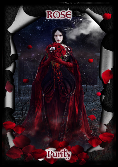 A young woman with a pale / white face, light red lipstick, ornate silver markings on her forehead and chin (like the patterning of pretty lacework) has shoulder length jet-black hair, looking solemn and focussed, looking straight ahead. She is wearing heavy dark eye makeup, and she is beautiful! The woman holds with both hands against her breast, a large tightly bunched posey of red roses, adorned in ornate clothing, predominantly red (some portions are shaded black); wearing a gorgeous heavy-set flowing patterned mantle (like a queens coronation garment), with long red gloves, and she’s standing amongst a floor that’s adorned with red rose petals. A few red rose petals are also falling around her shoulders.   The background consists of an old stone wall, thin steel picket fence and a dark sky that is adorned with bright stars and a stormy crack of lightning and a white cloud in the top, right hand corner of the scene. The scene is bordered by, what looks like old torn parchment curled up at the edges.   The young woman is unassuming, but oozes beauty, power, love and virtue in all its forms.   One major distinction in the scene is a single white rose that sits prominently within the red rose posey, symbolising ultimate feminine PURITY.