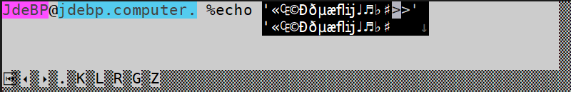 A console-termio-realizer screenshot.  An interior terminal emulator display in white on black is surrounded at bottom and right by a half-tone background, with some control widgets at bottom left.  The interior terminal is displaying mostly blank lines except for a varicoloured Z shell prompt and a Romaji input method overlay showing a selection of ligatures and symbols in the process of being entered.