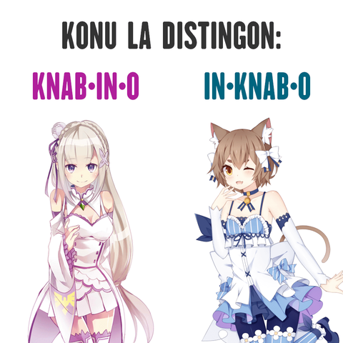 Bildo kun du animeaj personoj, de la animeo »Re:Zero«. Maldekstre staras juna kaj ĉarma knabino en blanka kaj roza vesto. (Ŝi nomiĝas »Emilia«). Dekstre staras juna kaj ĉarma kat-knabo en blanka kaj blua ina vesto. (Li nomiĝas »Feliks«.) Supre estas skribita la teksto: »Konu la distingon«. Super la knabino estas la vorto »knabino«, kaj super la ineca knabo estas skribita la vorto »inknabo«. Espere vi lernis ion utilan hodiaŭ!