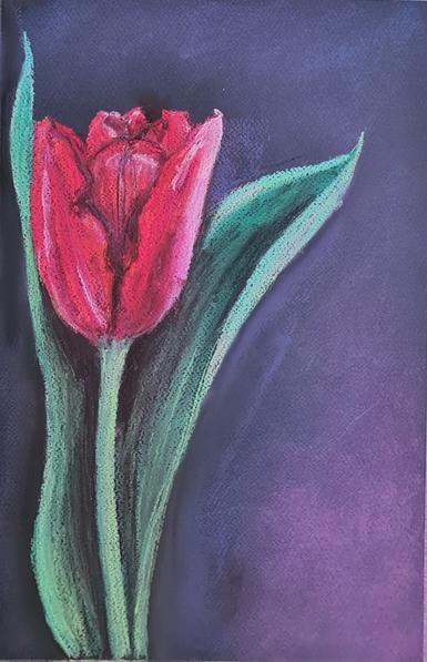 Stylised soft chalk pastel painting of a single red tulip framed by two leaves. Left of centre composition allows interesting background light in pink and purple shadng to black.