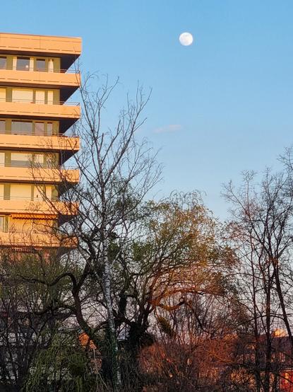 Am linken Rand ein von der Abendsonne beschienenes Hochhaus mit umlaufenden Balkonen, bizarre Baumformen und ein schöner Vollmond im abendblauem Himmel.