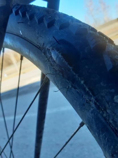 Close up of rear tire  which is ripped on the side and the inner tube is bulging out.