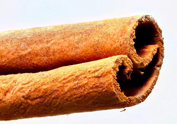 1.57X Magnification Cinnamon Stick