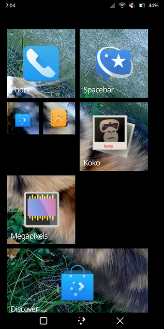 RetiledStart with some tiles displaying an image I took (in 2013 or 2014) of my cat, Mitty, through them as if the tiles themselves are windows. The app icons and app names are properly displayed on top of the background.