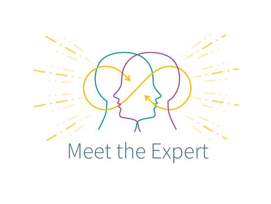 Logo of the lecture series "Meet the Experts"
