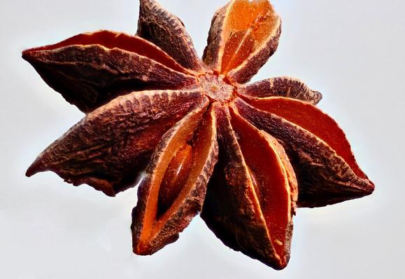 Macro Star Anise --1.38x magnification..

Focus Distance 16cm or about 63/8 inches.
