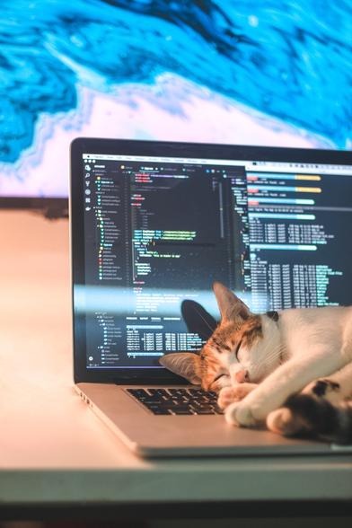 Unsplash.com photo by Tai Bui of a calico cat sleeping atop the keyboard of a laptop computer.