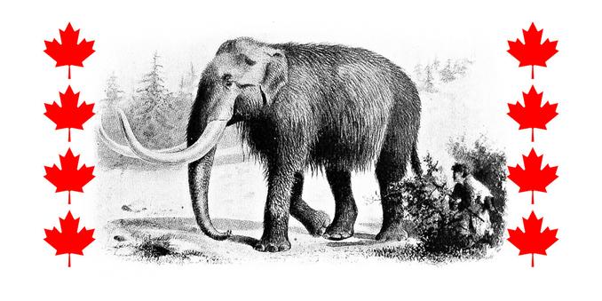 The CoSocial.ca banner, which has an old black-and-white drawing of a Mastodon with a small human hunter hiding in the bushes nearby; on either side are vertical rows of red maple-leaf glyphs