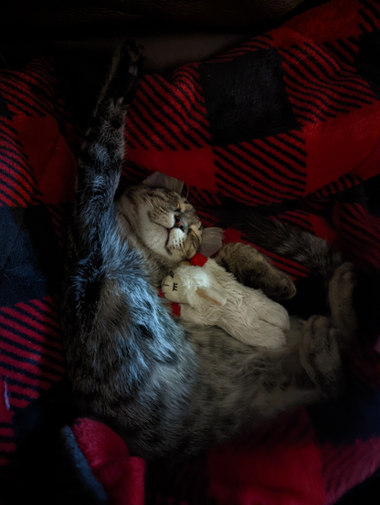 Shh hes sleeping