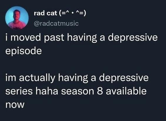 Screenshot of a post that says: I’ve moved past having a depressive episode. I’m actually having a depressive series haha season 8 available now.”