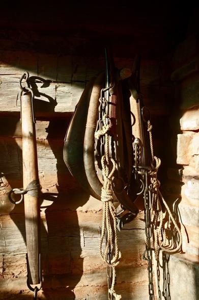 Color photo of horse and ox tack hanging on a old wood barn wall.
