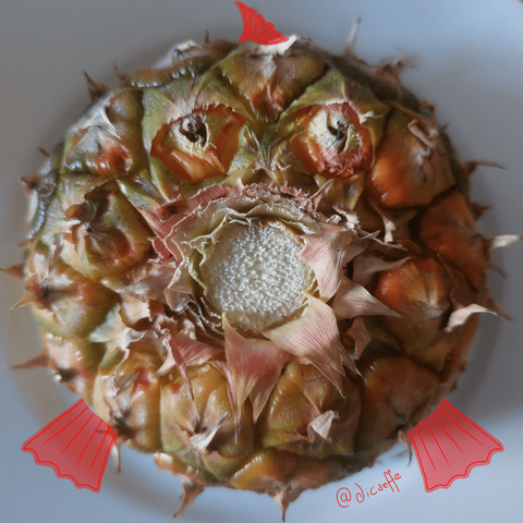 The draw of a fishball over the photo of a pineapple bottom