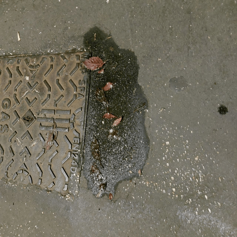 The original photo of a puddle on sidewalk