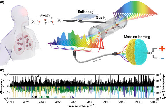 Illustration of Breath to Tedlar bag, gas into chamber spectrum measured output and machine learning discrimination.
