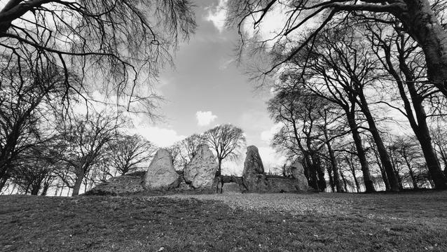 Four megaliths guard the entrance to a small chamber set into a long mound of earth. The barrwbis surrounded by beech trees. The wide angle of the photo creates the impression that the trees are leaning over the mound.
