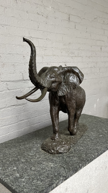 Bronze statue of an African Elephant with trunk raised up. Statue stands against a White wall.