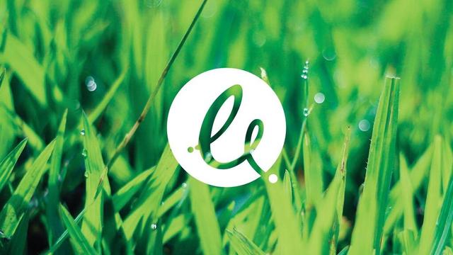 decorative graphic - the Epimorphics swish logo in white in the centre of the image over a photo of bright green grass
