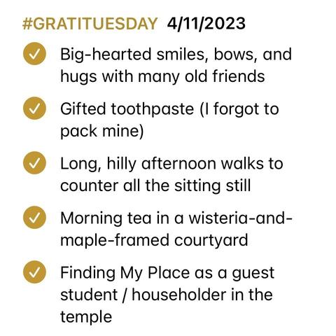 Screenshot of a Notes app checklist with all items marked as complete. List reads: #GRATITUESDAY  4/11/2023
- [x] Big-hearted smiles, bows, and hugs with many old friends
- [x] Gifted toothpaste (I forgot to pack mine)
- [x] Long, hilly afternoon walks to counter all the sitting still 
- [x] Morning tea in a wisteria-and-maple-framed courtyard 
- [x] Finding My Place as a guest student / householder in the temple