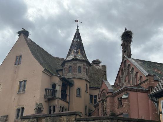 A photo taken in Eguisheim today, of church and buildings next to it, showing three stork nests. Background grey, cloudy sky