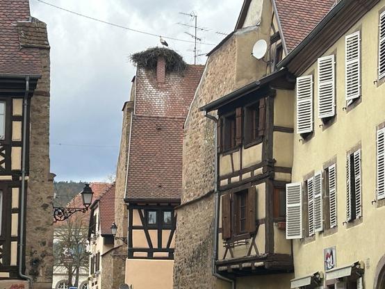 Photo of a street in Eguisheim, shoeing old, timber frame houses and one stork nest and stork on top of one