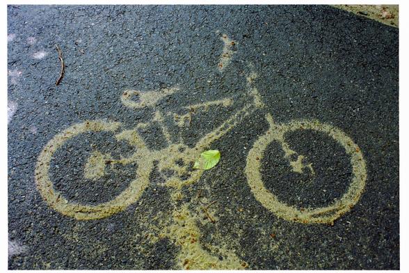 A photograph of a damp,  lack paved pathway showing the clear silhouette of a bicycle in light colored sand. Shapes left by the pedals, chain guard, etc see all clearly visible.